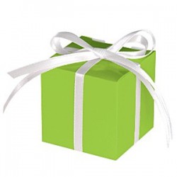 Žalia dėžutė kvadratas